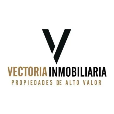 vectoriainmobiliaria.com's icon