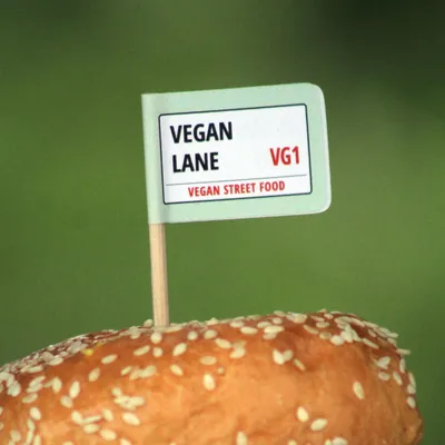 veganlane.co.uk's icon