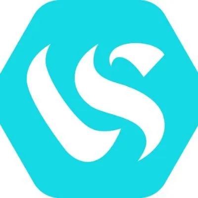 vegasolutions.co's icon