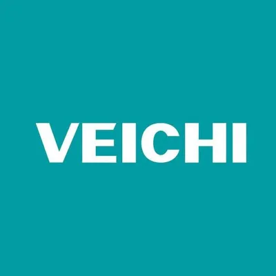 veichi.com's icon