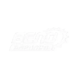 velobarnaul.ru's icon