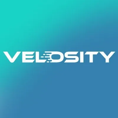 velosity.com's icon