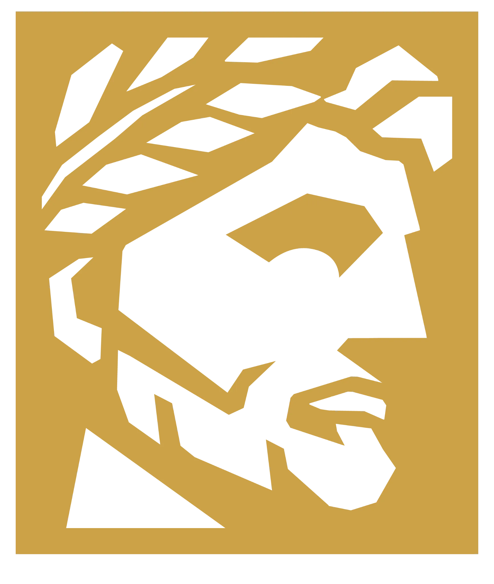 Veltha logo