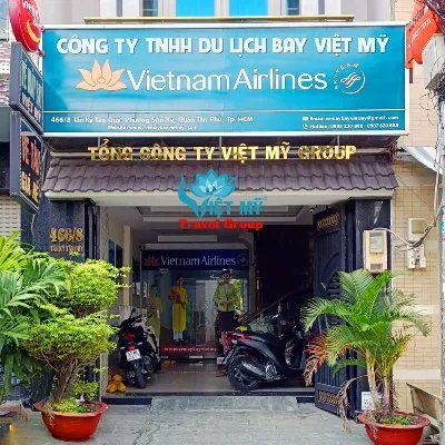 vemaybayvietmy.com's icon