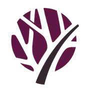 Vena Medical logo
