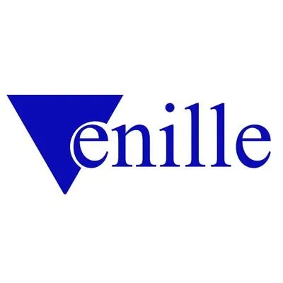 venille.com.ng's icon