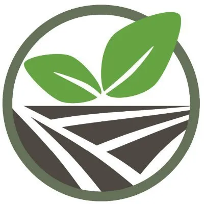 veransa.com's icon