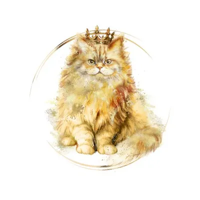 verguldekat.nl's icon