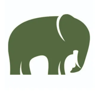 veridiansoftware.com's icon