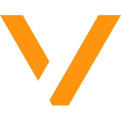 verisoft.cz's icon