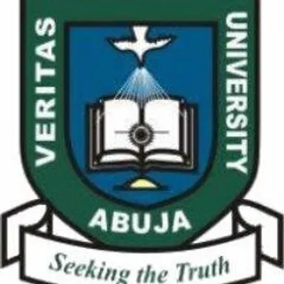 veritas.edu.ng's icon