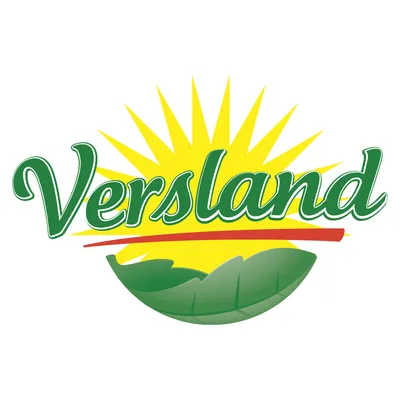 versland.com's icon