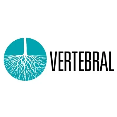 vertebralchile.cl's icon
