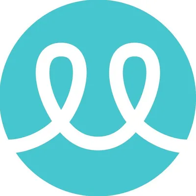 verticalloop.com's icon