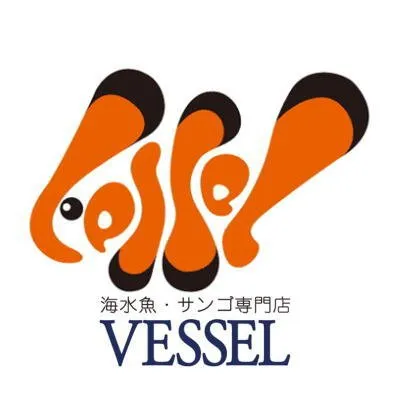 vessel-1997.com's icon