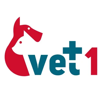 vet1.lt's icon