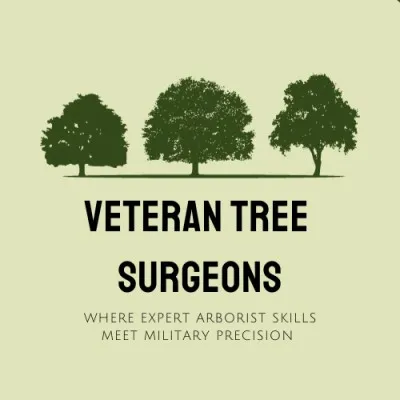 veterantreesurgeons.co.uk's icon