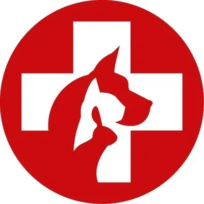 veterinaires2touteurgence.com's icon