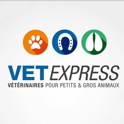 vetexpress.be's icon