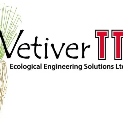 vetivertt.com's icon