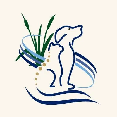 vetneurochesapeake.com's icon