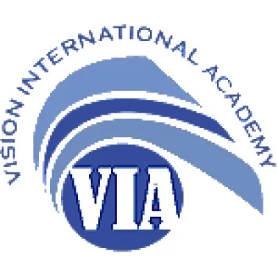 viacademy.com's icon