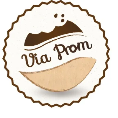 viaprom.com.mk's icon