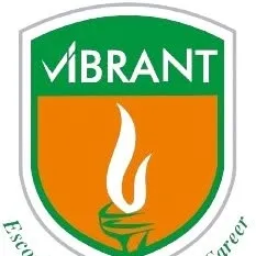 vibrantmbbs.edu.np's icon