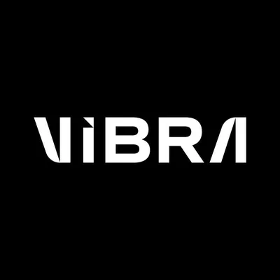 vibrasaopaulo.com's icon