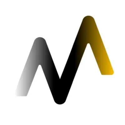 vicaconsulting.com's icon