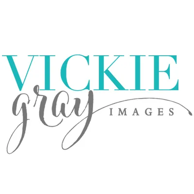 vickiegrayimages.com's icon