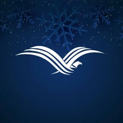 viconfi.com's icon