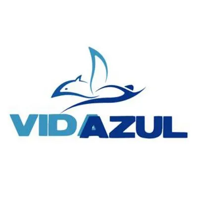 vidaazul.org's icon