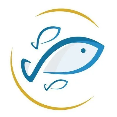 vidaeste.com's icon