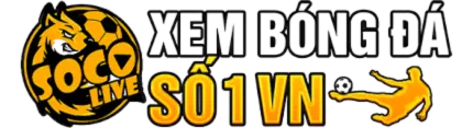 Viddy logo