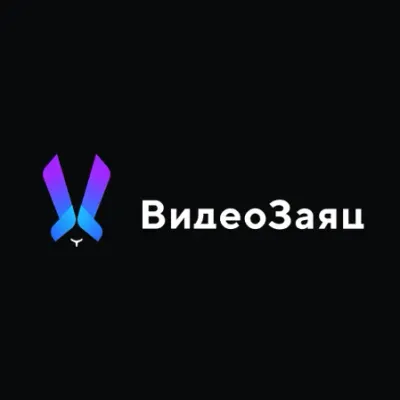 VZ Agency's icon