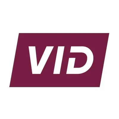 vidfirekill.com's icon
