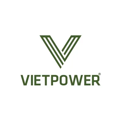 viet-power.vn's icon