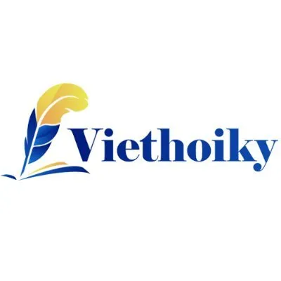 viethoiky.com's icon