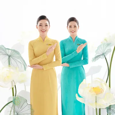 Vietnam Airlines's icon