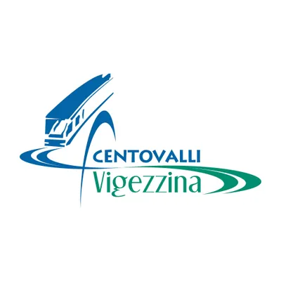 vigezzinacentovalli.com's icon