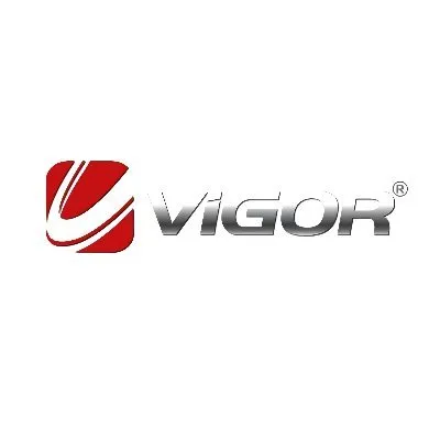 vigordrilling.com's icon