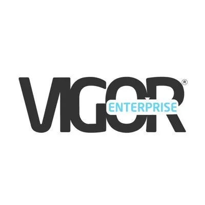 vigorenterprise.com's icon