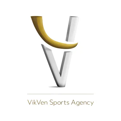 vikven.com's icon