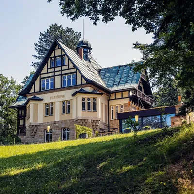 vilacapek.cz's icon