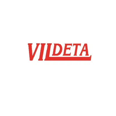 vildeta.lt's icon