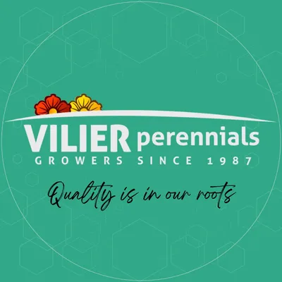 vilier.com's icon