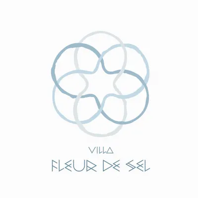 villa-fleurdesel.com's icon