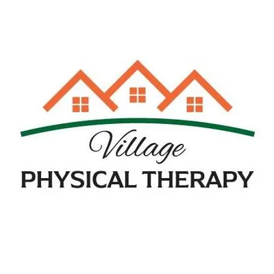villageptme.com's icon