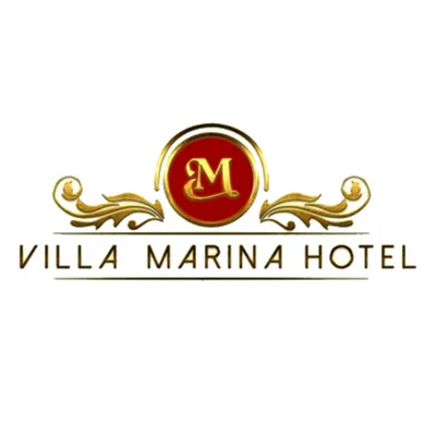 villamarina.com.ng's icon